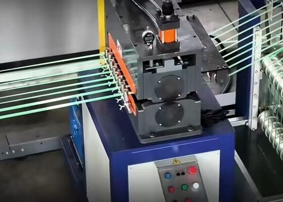 ऊर्जा कुशल सतत पालतू पट्टा उत्पादन लाइन उन्नत